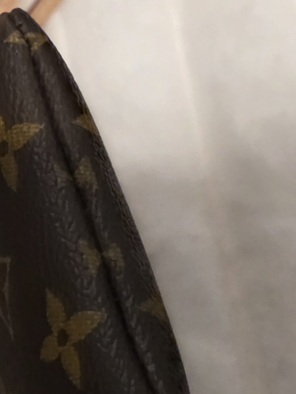 Authentic Louis Vuitton Monogram Sunglass Pouch - Picture 7 of 7
